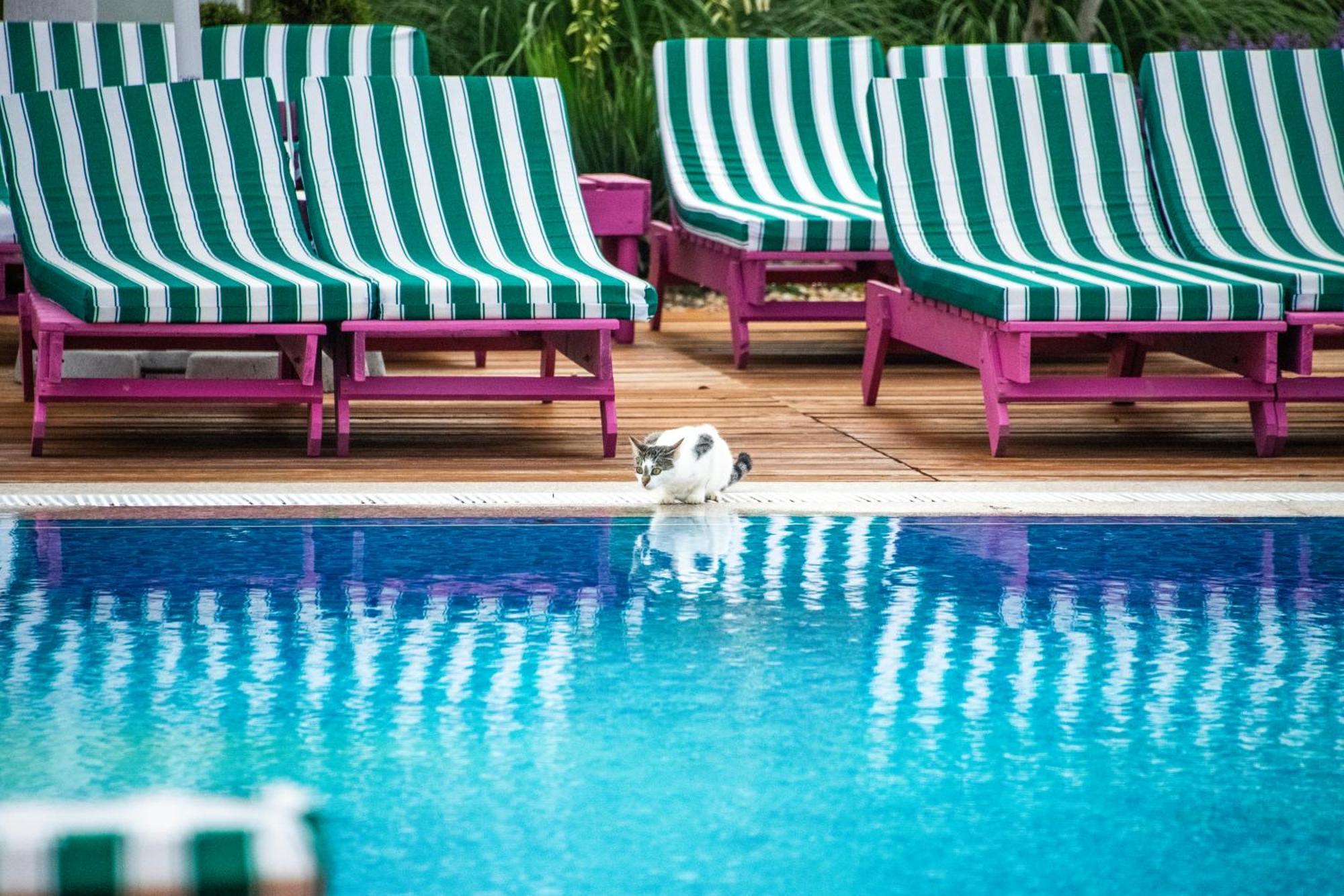 Ibis Styles Venus Hotell Eksteriør bilde